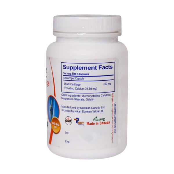 شارک کارتیلاژ